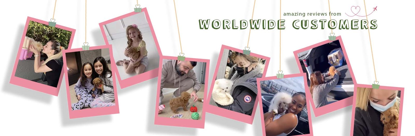 335b3beed5ded82d1f0f7ecd1035bf9d