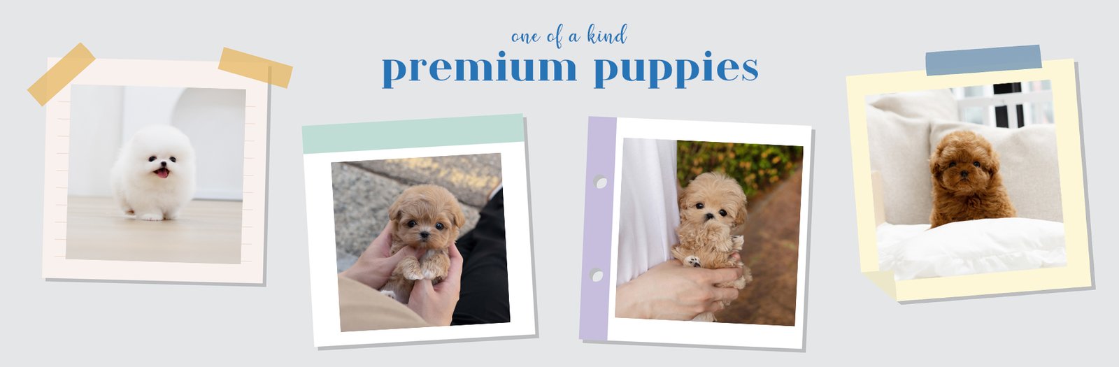 5eb481ed9e6d8e171379852aee176651